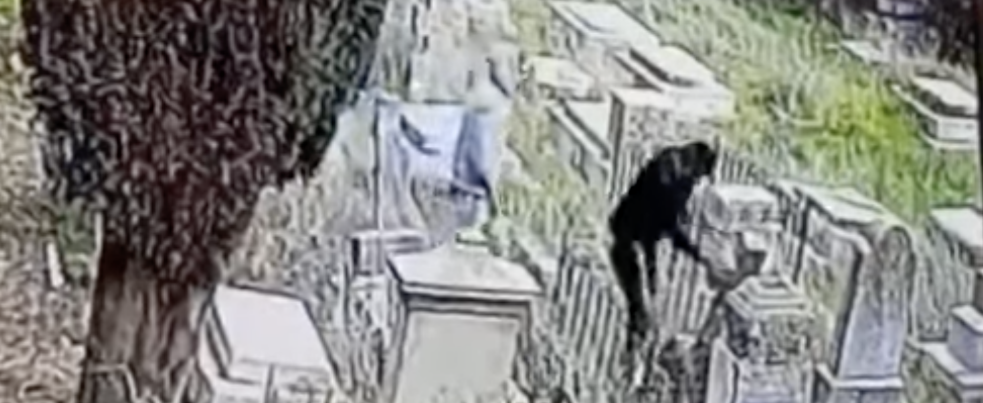 Les deux profanateurs du cimetière protestant de Jérusalem ont été filmés | capture d'écran YouTube