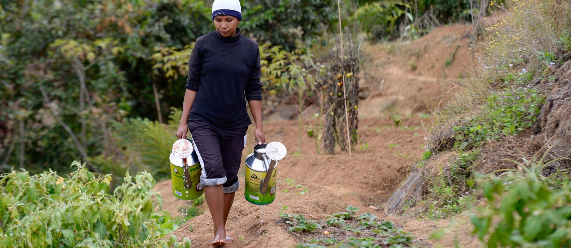 Action de Carême a axé nombre de ses programmes sur l'agroécologie | photo: Madagascar © Campagne Voir et Agir/Action de Carême/EPER