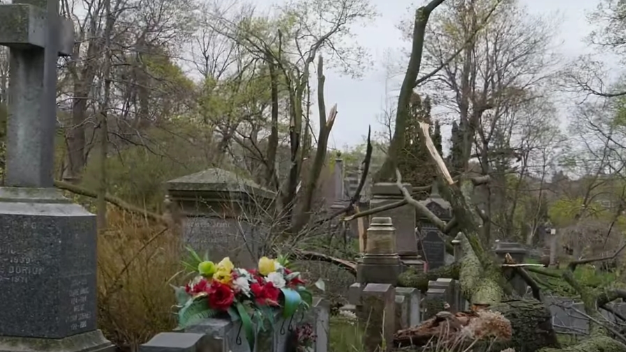 De nombreux arbres du cimetière Notre-Dame des Neiges à Montréal ont été brisés par la tempête | DR 