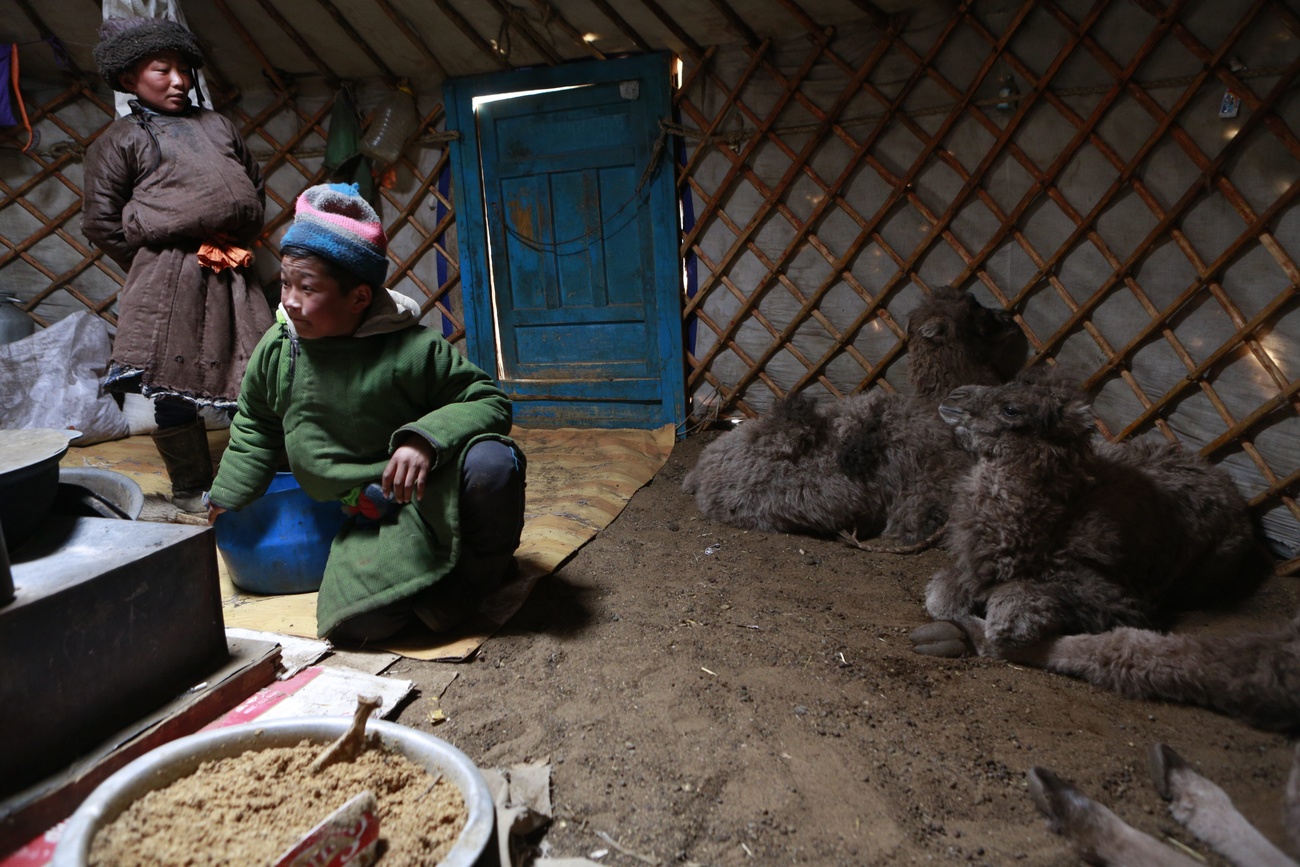 Des habitations peu adaptées à la crise climatique, est de la Mongolie, mars 2016 © Keystone/EPA/DAVAANYAM DELGERJARGAL