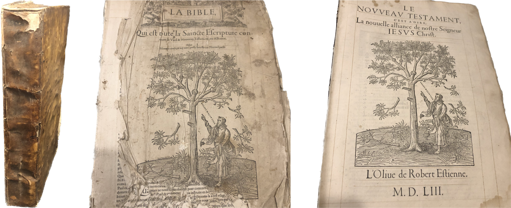 La Bible d'Olivétan, 1553 | LD / Bible française