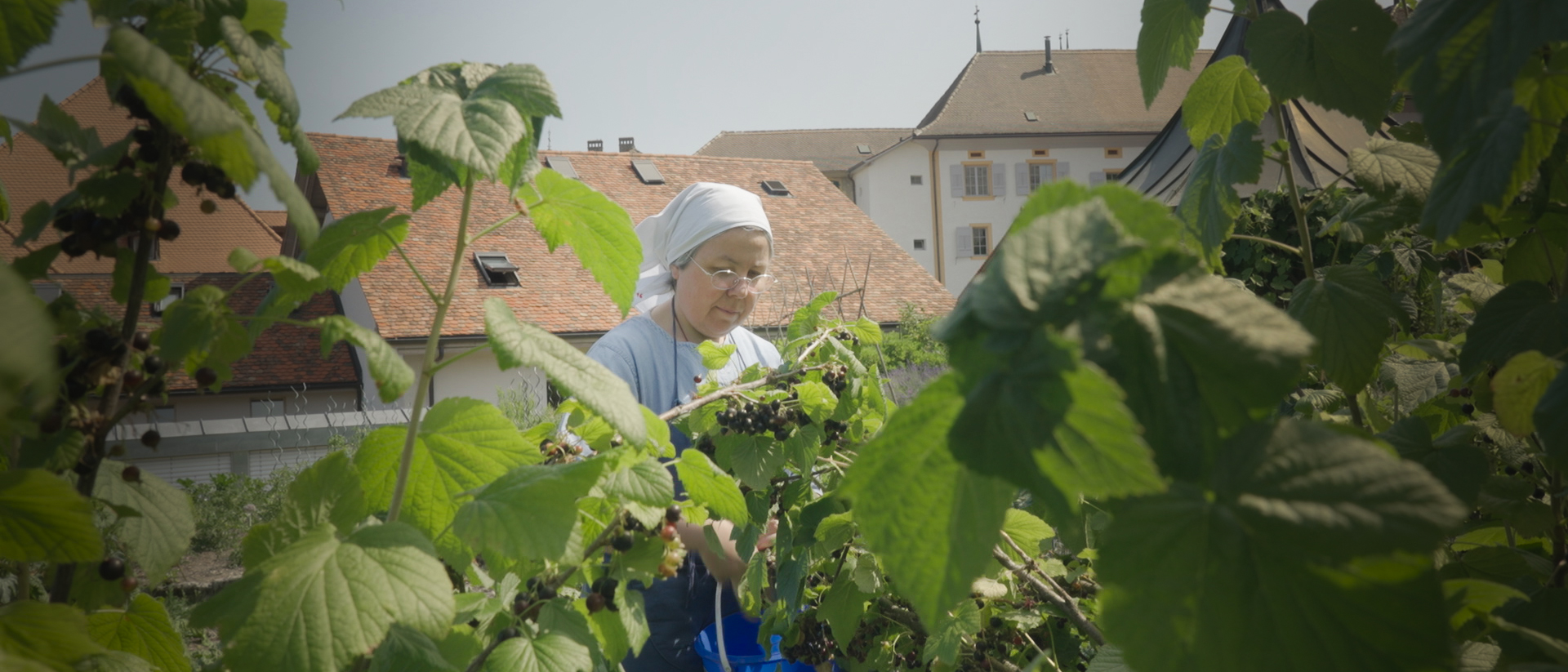 Qu'est-ce que nos potagers nous révèlent-ils de Dieu? | © Pierre Pistoletti