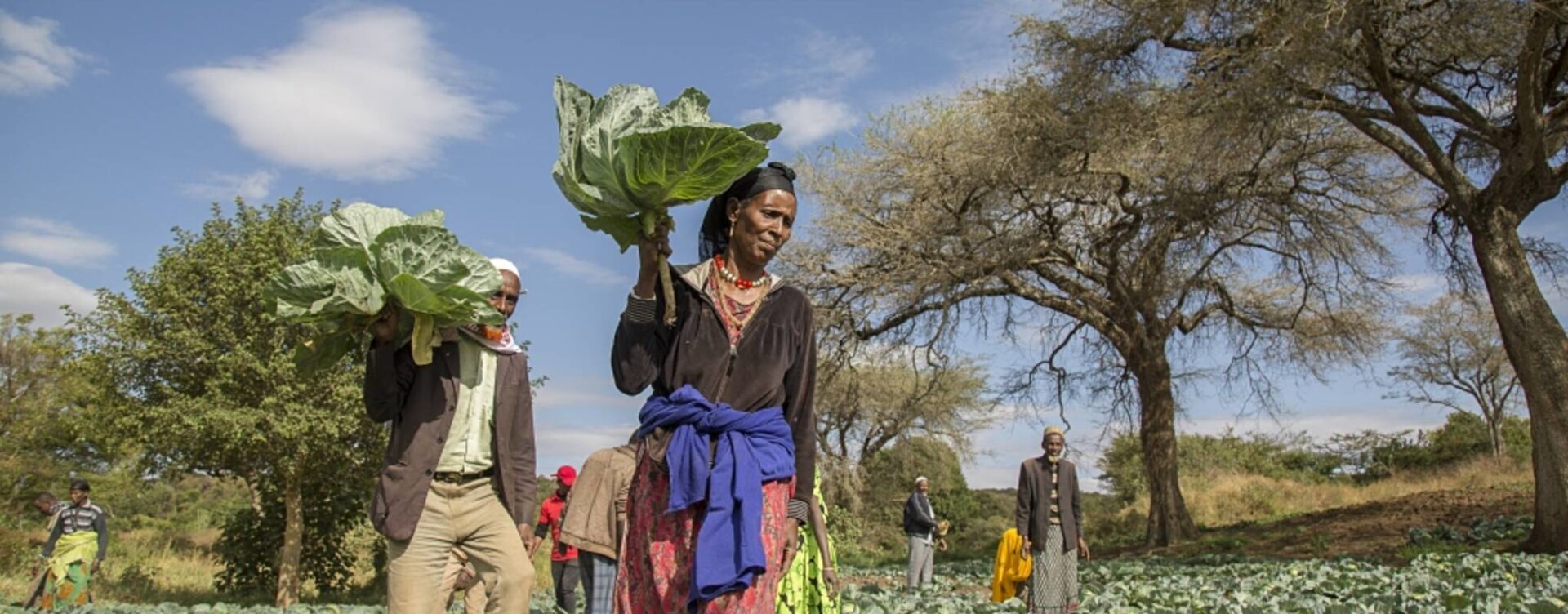 Caritas Suisse favorise l'accès des femmes au marché, notamment en Ethiopie | © Caritas Suisse