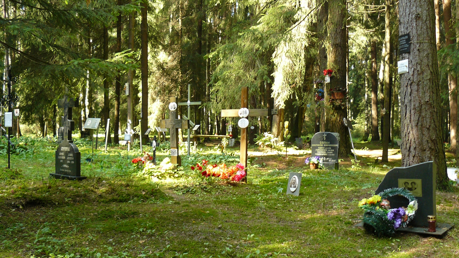 Des tombes dans le cimetière mémorial de Levachovo | wikimedia commons jbuket CC-BY-SA-3.0