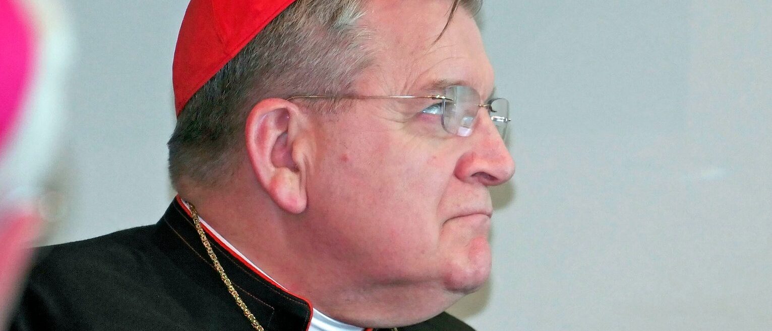 Le cardinal américain Raymond Burke est l'un des signataires des 'dubia' contre le Synode sur la synodalité | © John Briody/Flickr/CC BY-ND 2.0