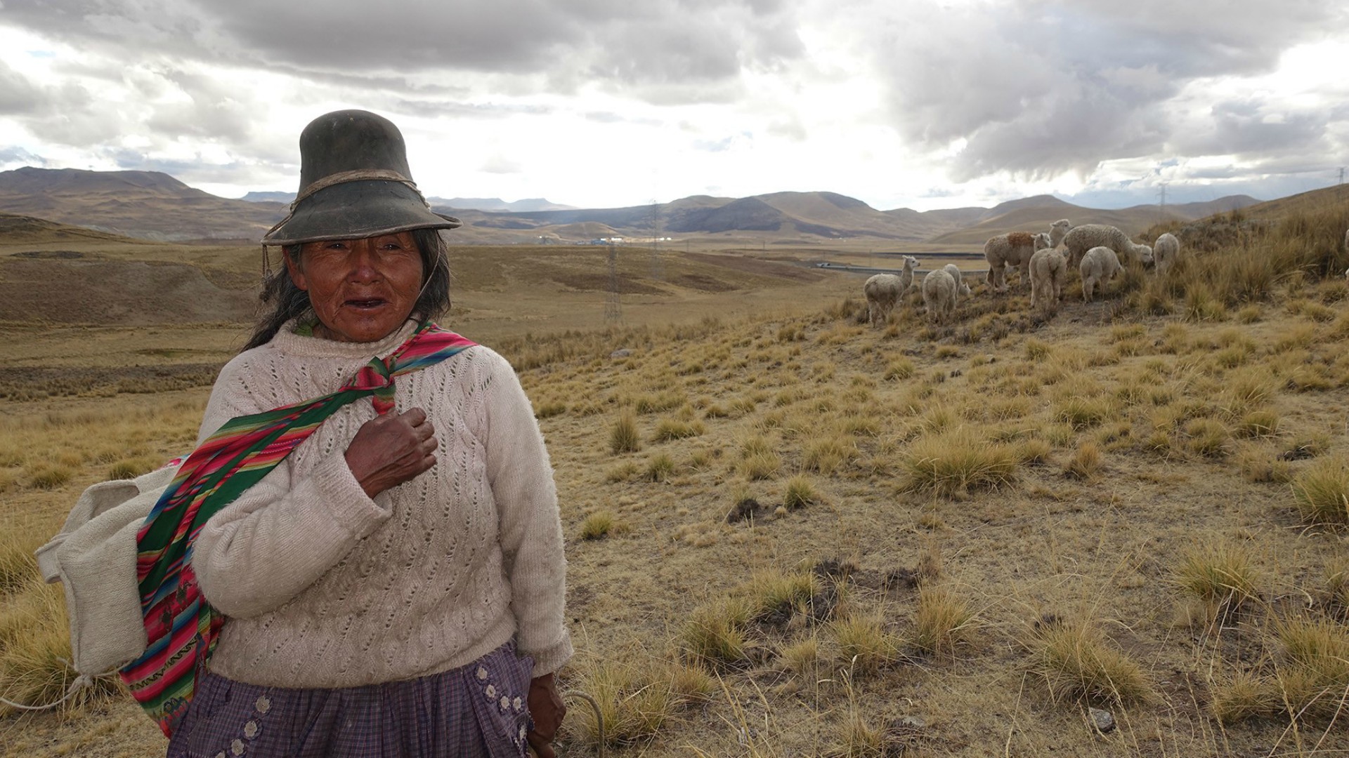 Bergère et son troupeau près de Las Bambas, au Pérou | © Jean-Claude Gerez