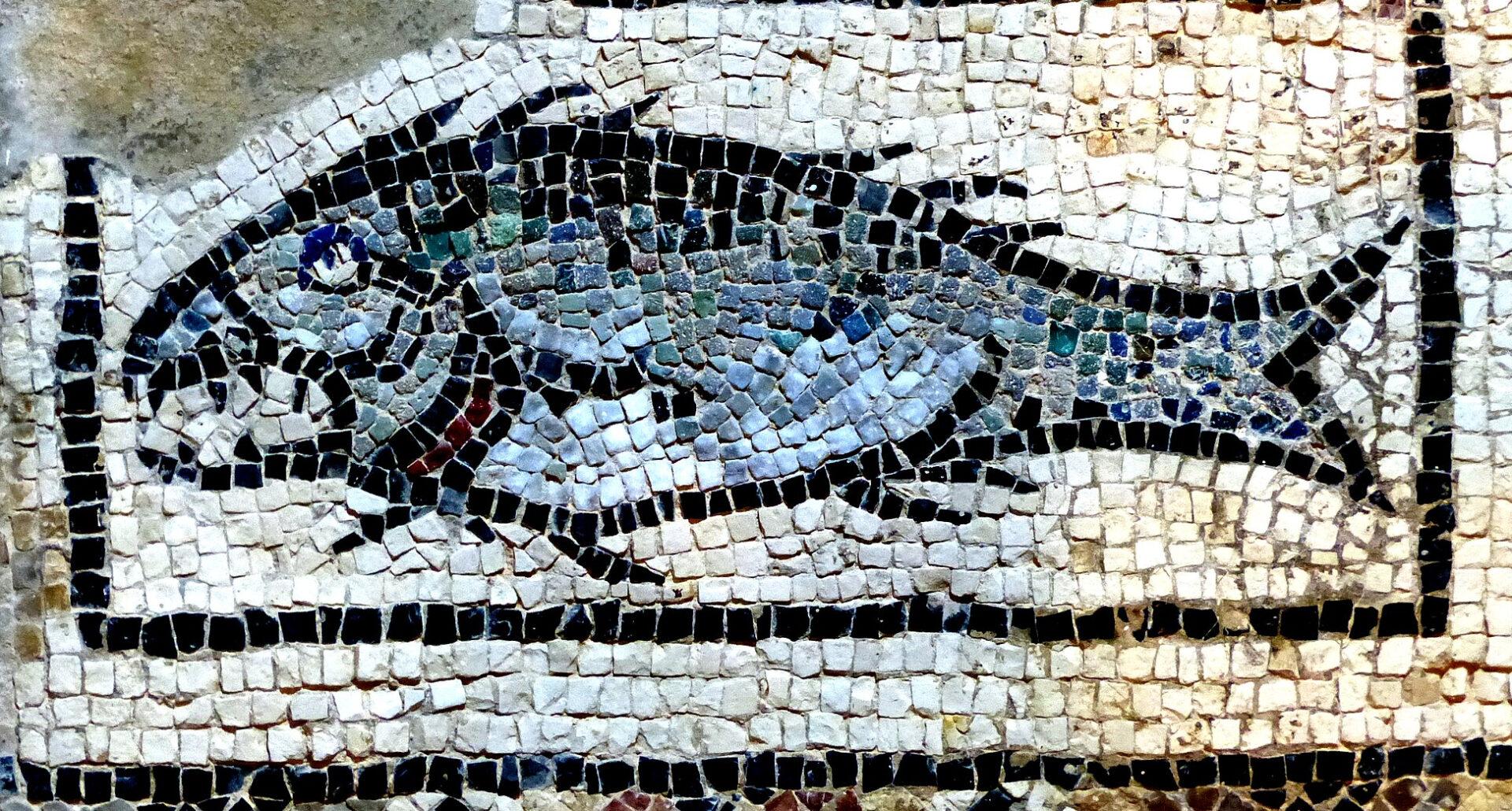 Mosaïque de poisson dans la basilique euphrasienne de Porec, en Croatie | domaine public