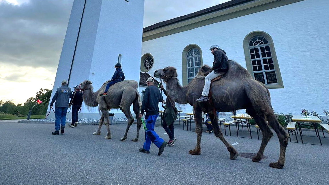 Pour la Nuit des églises, des activités originales telles que des balades en chameau ont été proposées | photo: canton de Fribourg © Église catholique Fribourg