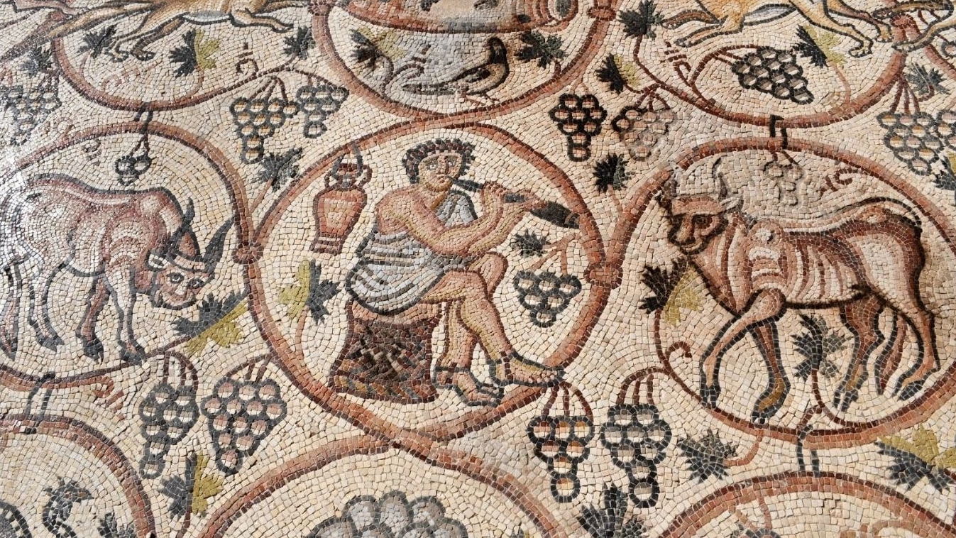 Détail de la mosaïque de Be’er Shema découverte sans une église de Terre Sainte | © IAA