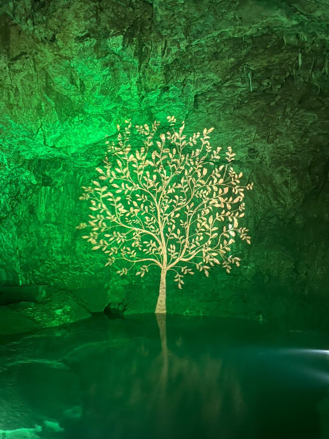 L'arbre de vie, symbole spirituel | © Lucienne Bittar
