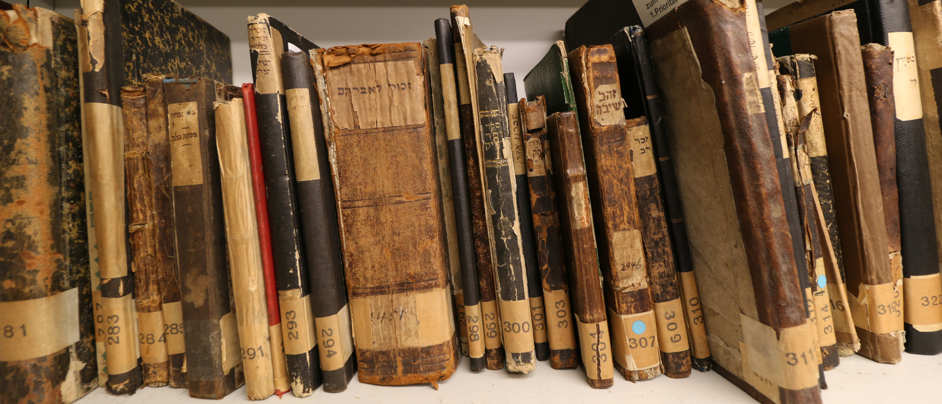 Les fonds de la bibliothèque du  séminaire juif de Breslau vont être restaurés | © FSCI