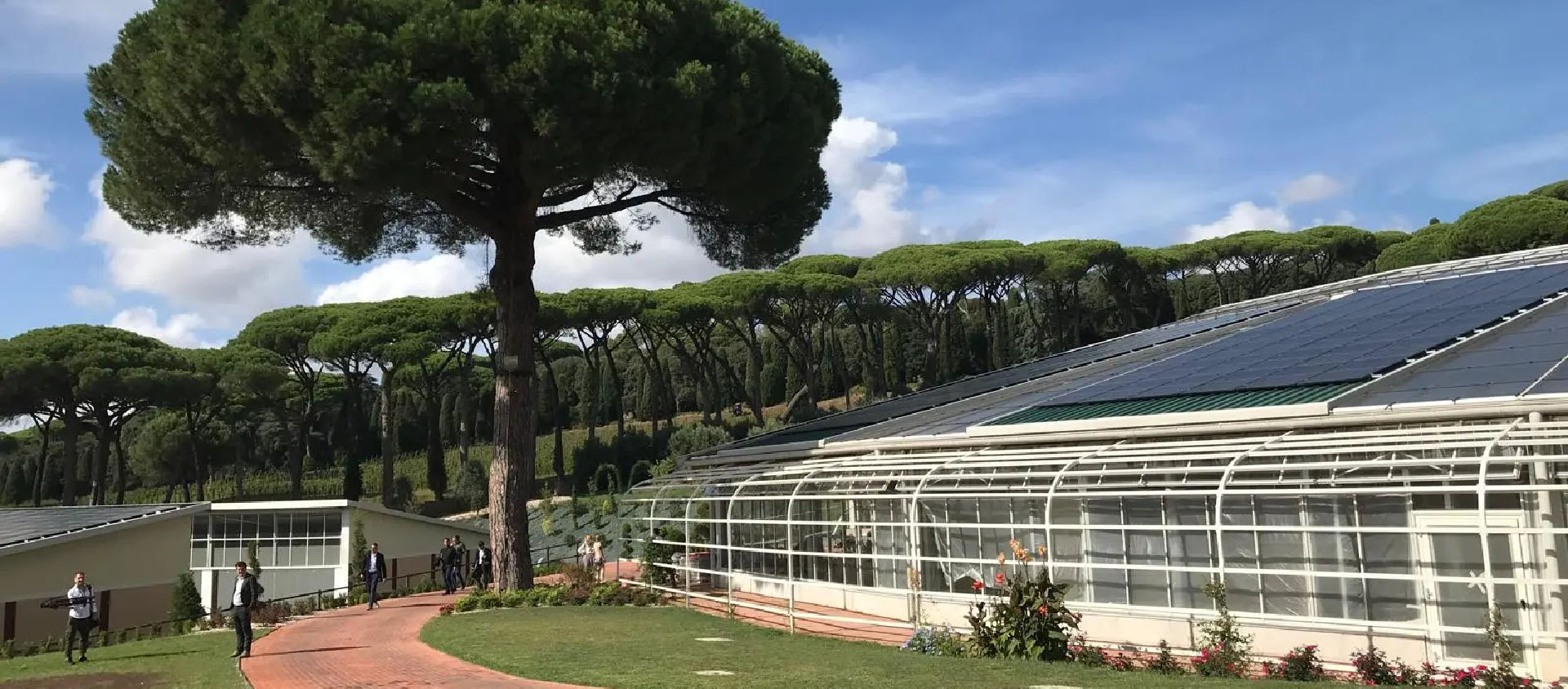 La serre abrite actuellement quelques espèces de plantes en attendant d'en accueillir d'autres | © Camille Dalmas/I.Média