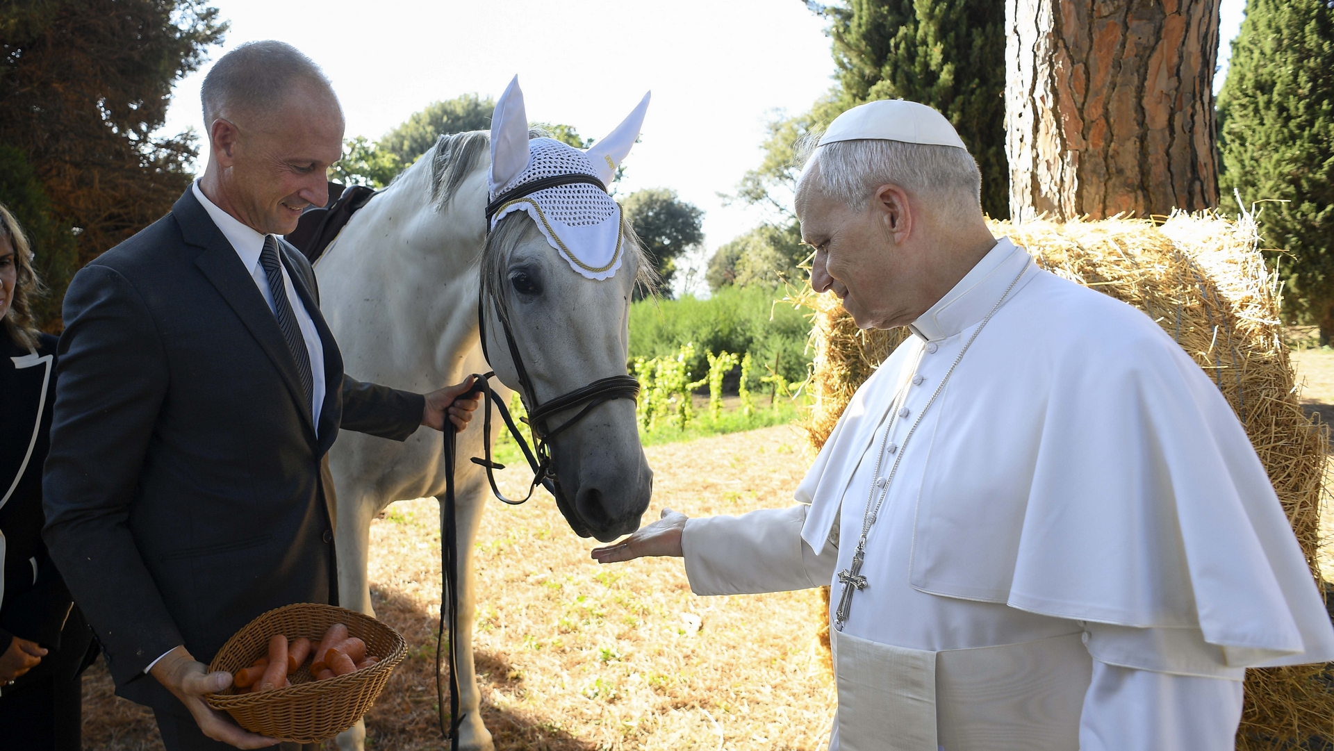 Le pape Léon XIV a donné une carotte à un cheval andalou | Vatican  Media