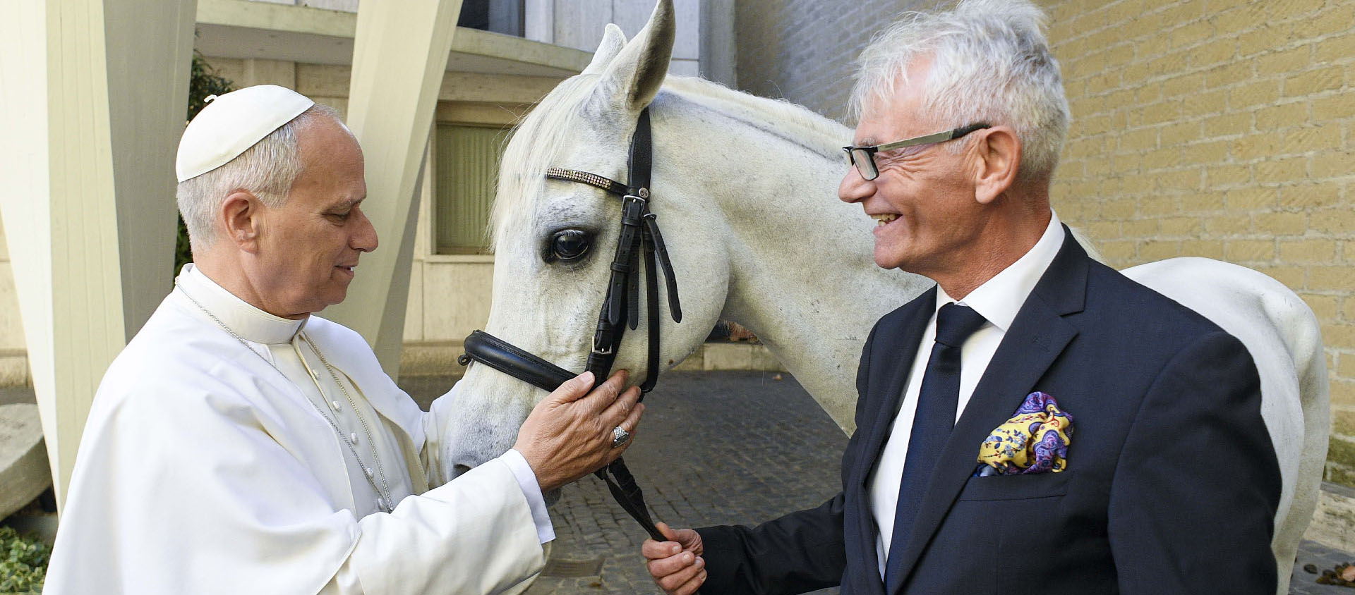 Le pur-sang arabe répond au nom de Proton et provient d'un haras situé à Budzistowo, dans le nord-ouest de la Pologne | © Vatican Media