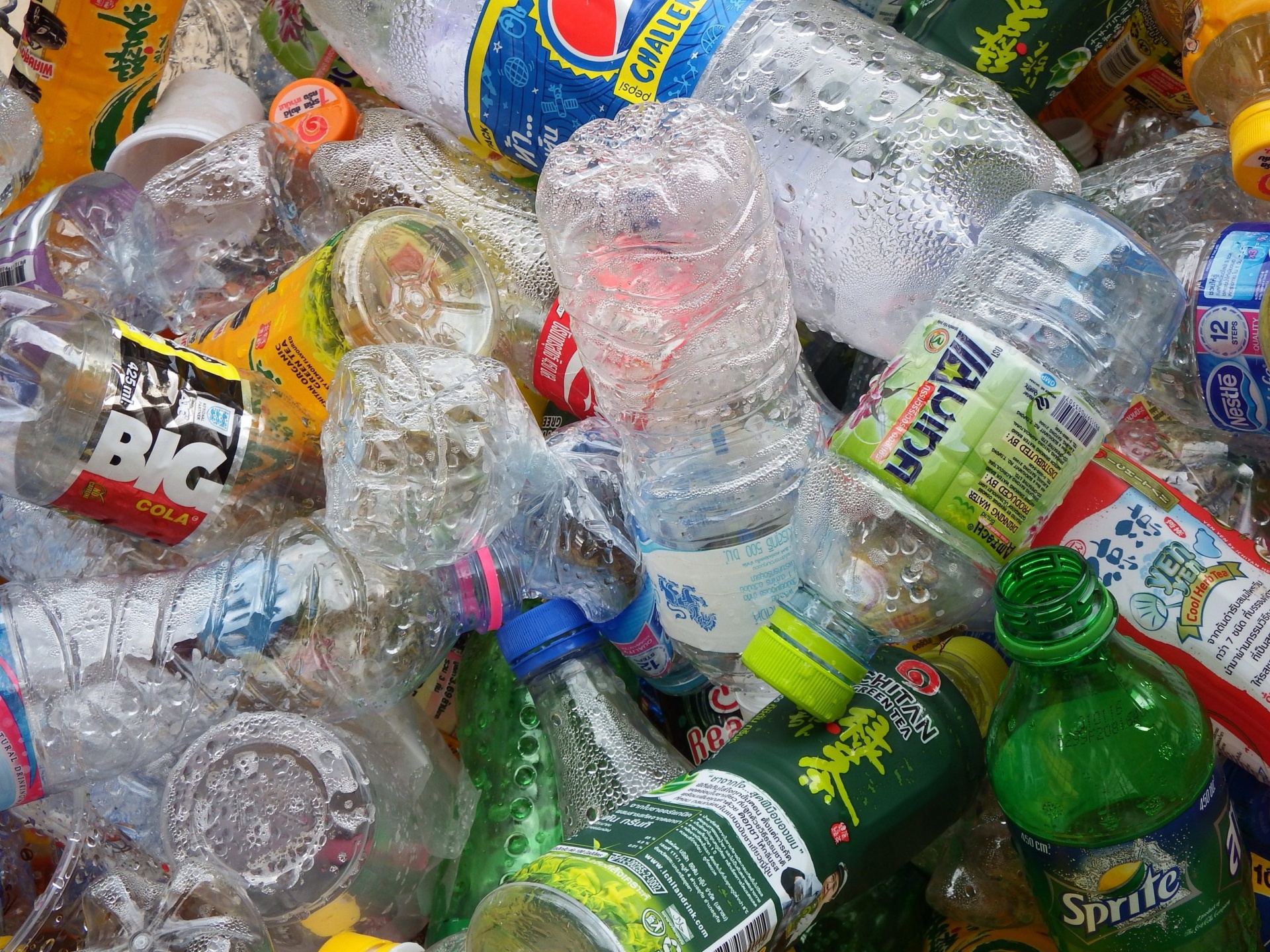 Recyclage des bouteilles en PET | domaine public