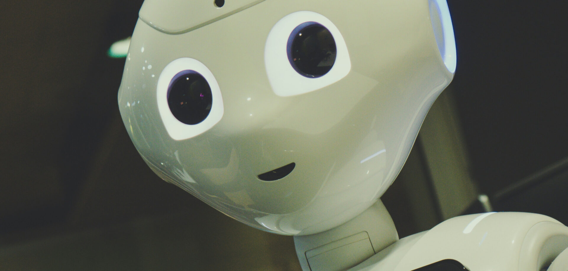 Le pape Léon XIV met en garde contre l'illusion d'humanité que peut revêtir l'intelligence artificielle | © Owen Beard/Unsplash