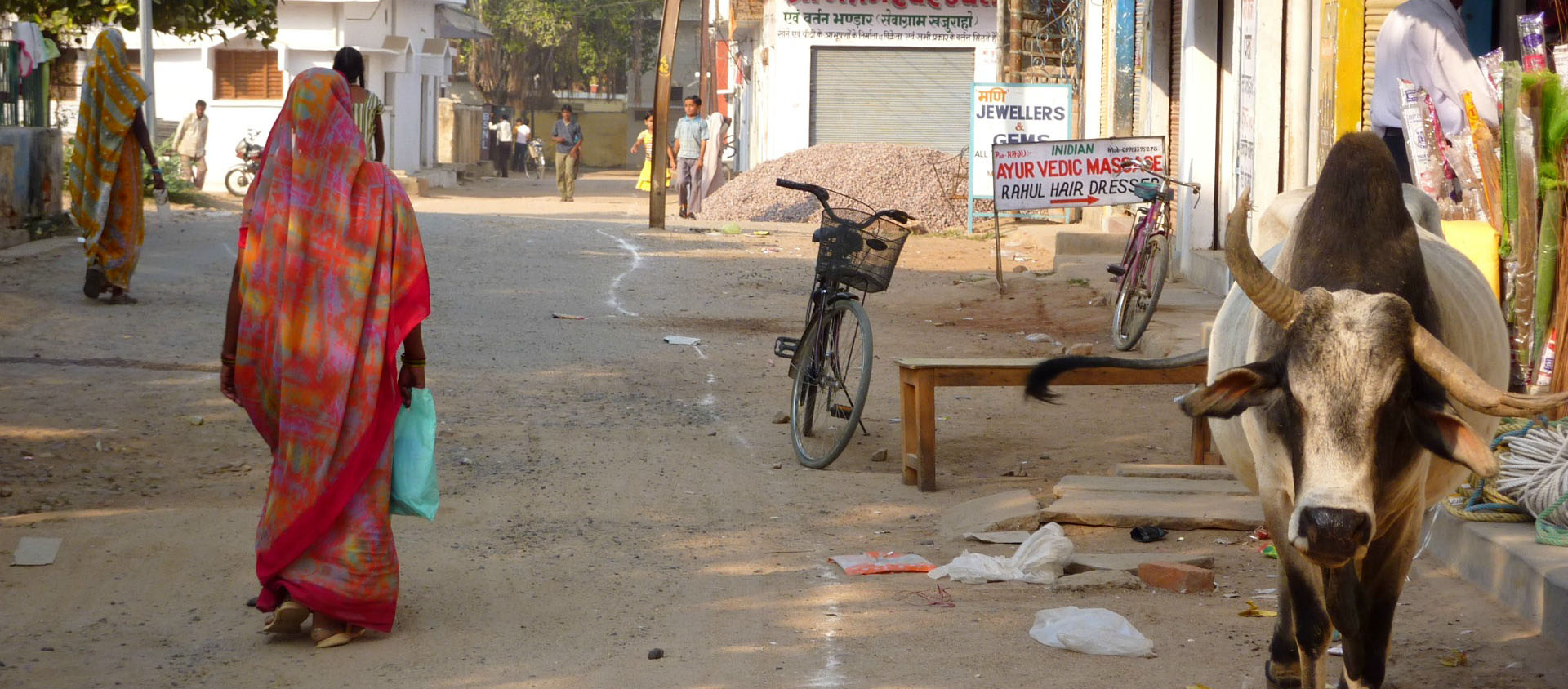 Une majorité des cas recensés ont eu lieu dans les États gouvernés par le parti BJP pro-hindou du Premier ministre Narendra Modi | Flickr/Khajuraho/CC BY-NC-ND 2.0)
