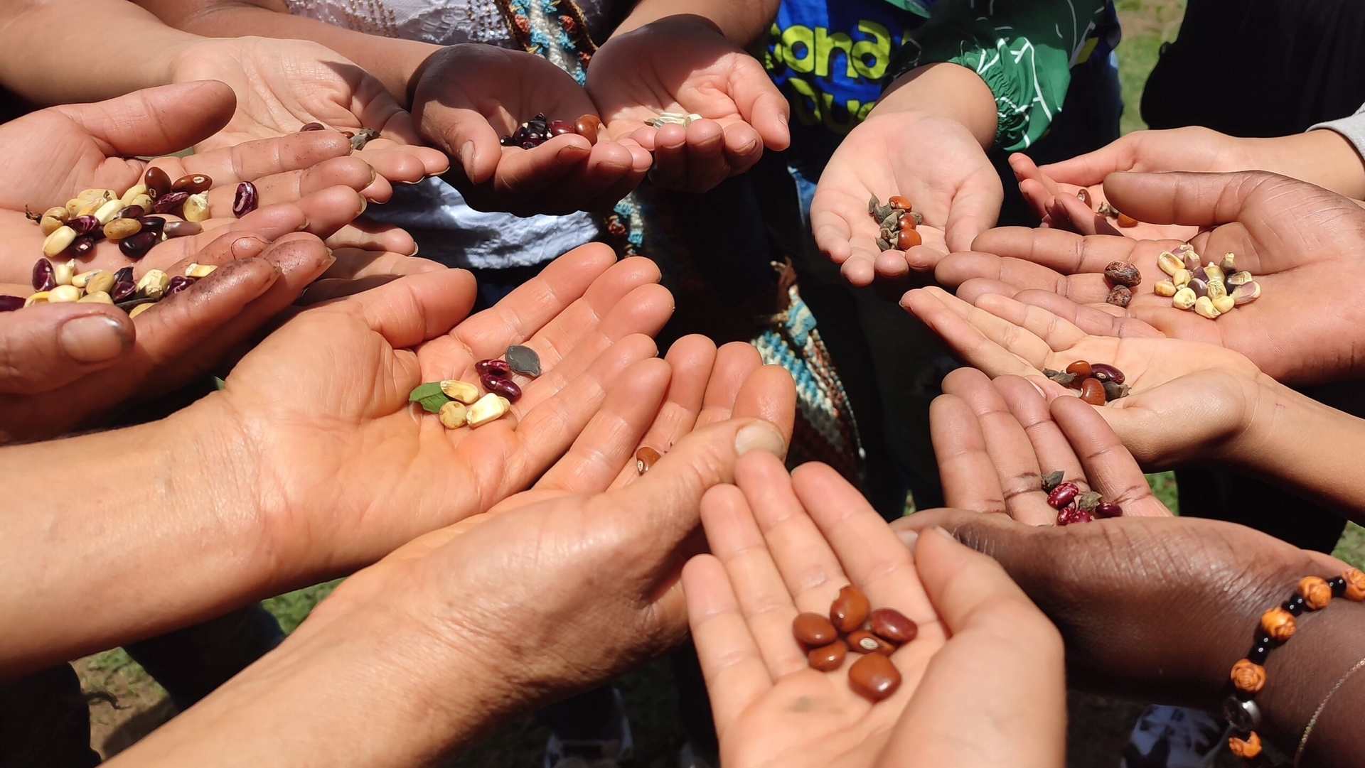 En Colombie, les paysannes veulent préserver leurs semences | © AdC