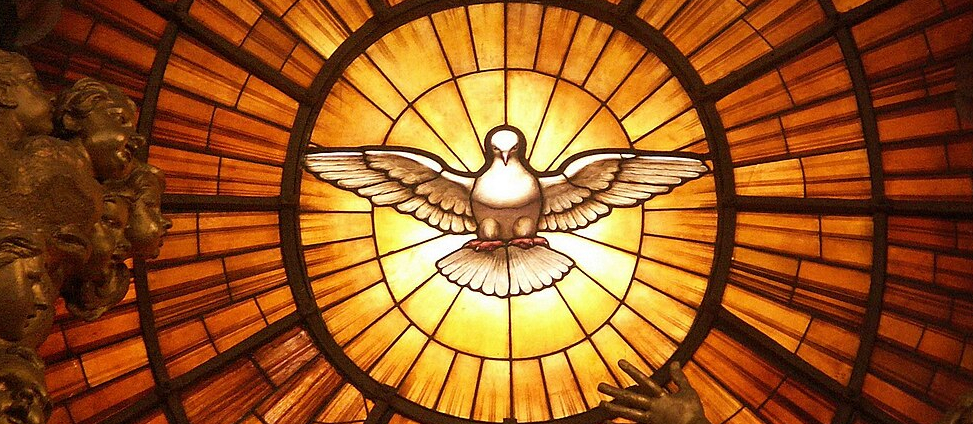 La colombe est l'un des nombreux animaux représentés dans la basilique St-Pierre de Rome | © Dnalor 1/Wikimedia Commons/CC BY-SA 4.0