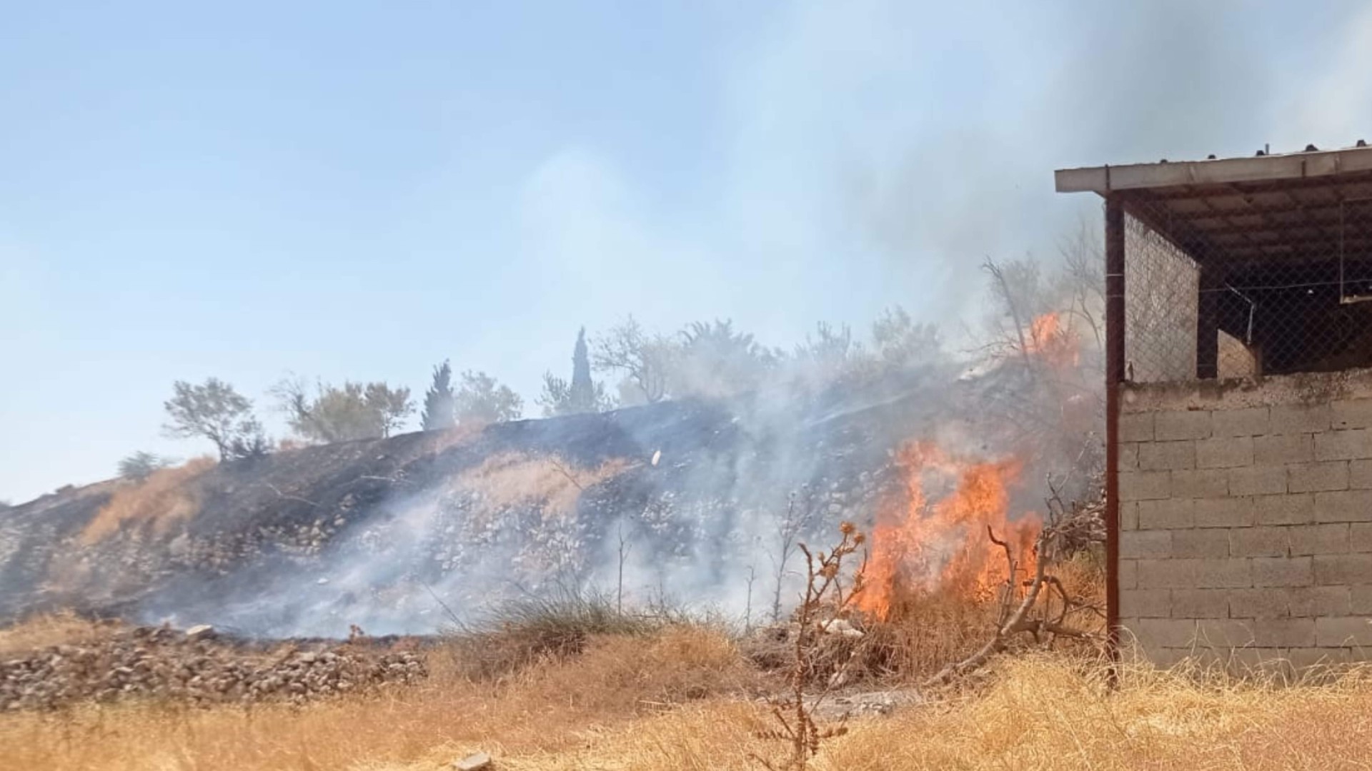 Les colons israéliens incendient les champs des chrétiens de Taybeh | © ACn