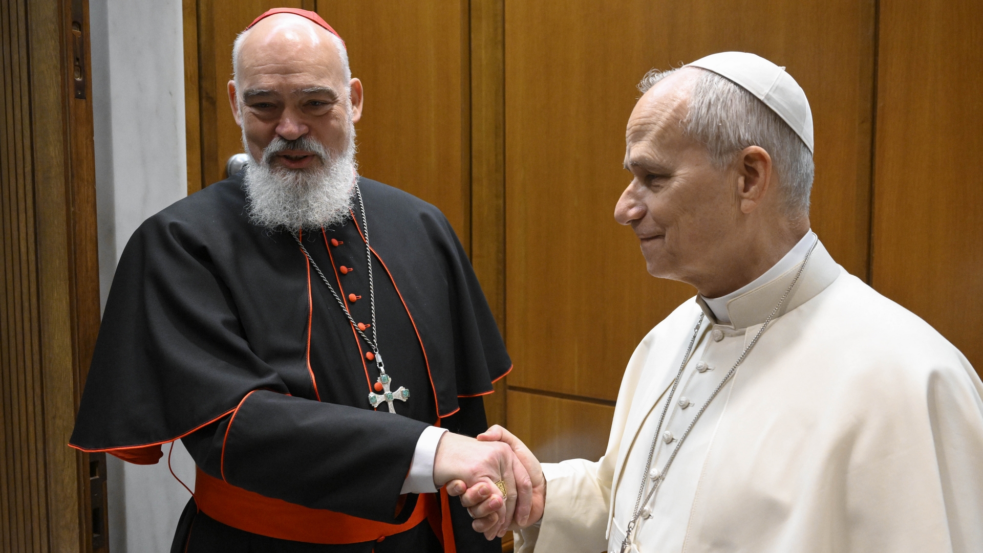 Le pape Léon reçoit le cardinal Mathieu, archevêque de Téhéran | © Vatican Media