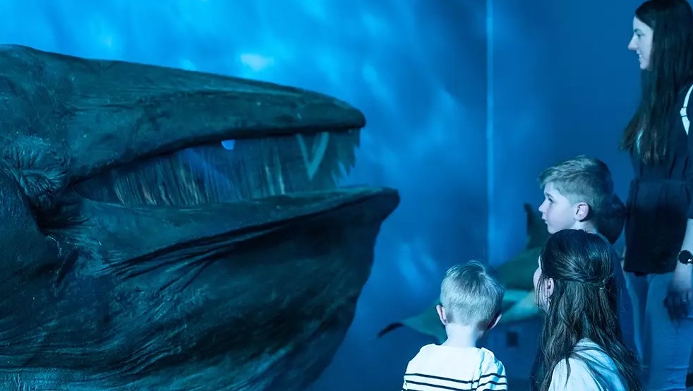 Petits et grands pourront venir admirer le baleineau naturalisé de 12 mètres, le 1er avril à l'église du Christ-Roi | Fribourg tourisme et région