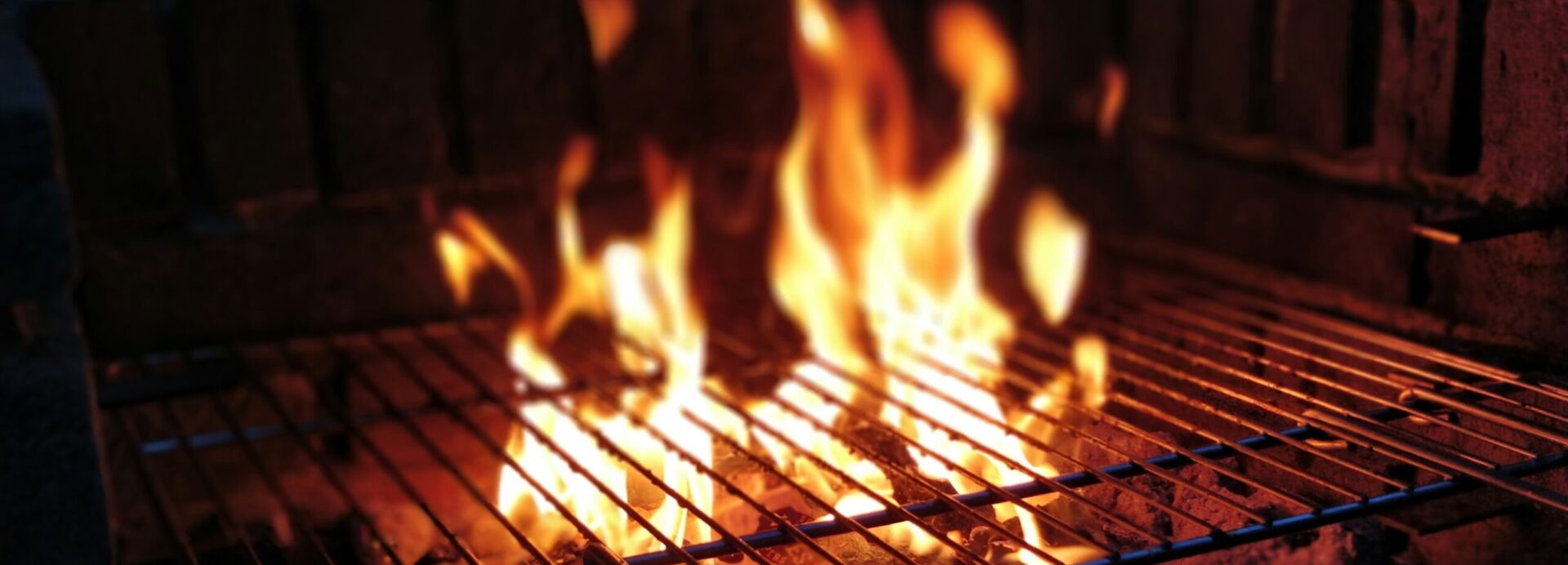 Une grande partie des Polonais pourront se réjouir de grillades pour le premier jour de mai | © Danny de Jong/Unsplash